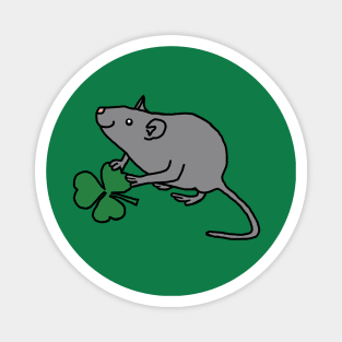 St Patricks Day Rat with Shamrock Magnet